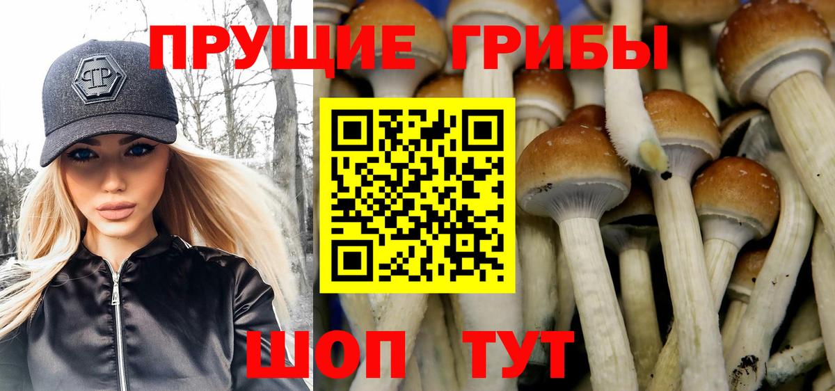 Галлюциногенные грибы мицелий  Галлюциногенные грибы Psilocybine cubensis  Нерюнгри  Вход с VPN 