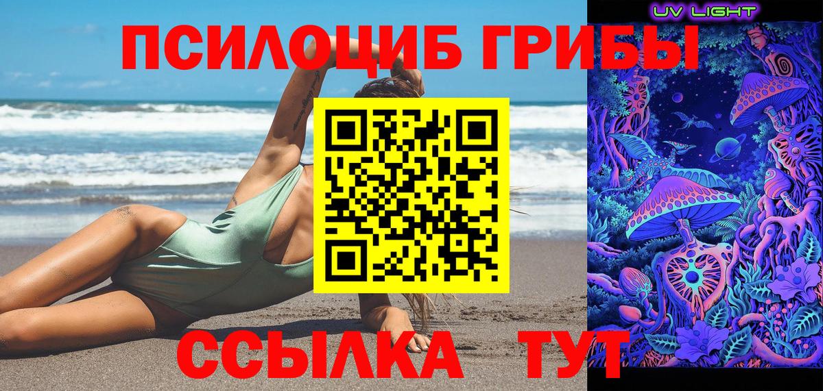 Псилоцибиновые грибы Psilocybe Нерюнгри